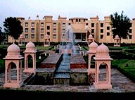 The Gold Palace